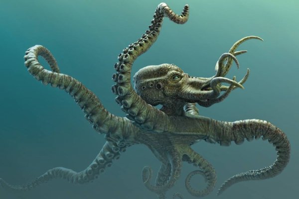 Http kraken 2kr